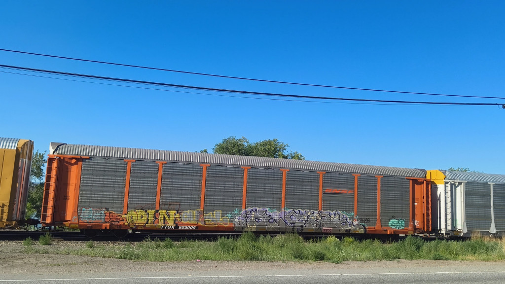 BNSF 27895 (Body) TTGX 953009 (Flat)